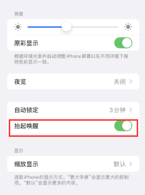 都安苹果授权维修站分享iPhone轻点无法唤醒怎么办