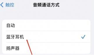 都安苹果蓝牙维修店分享iPhone设置蓝牙设备接听电话方法