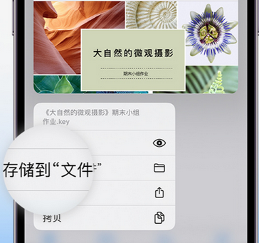 都安apple维修中心分享iPhone文件应用中存储和找到下载文件