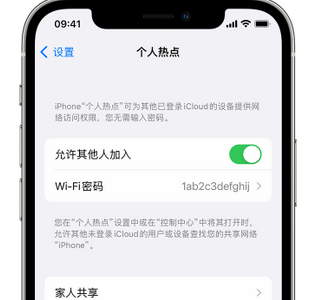 都安apple服务站点分享iPhone上个人热点丢失了怎么办 