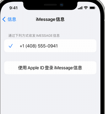 都安apple维修iPhone上无法正常发送iMessage信息 