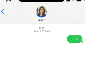 都安apple维修iPhone上无法正常发送iMessage信息