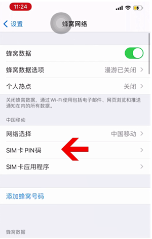 都安苹果14维修网分享如何给iPhone14的SIM卡设置密码 