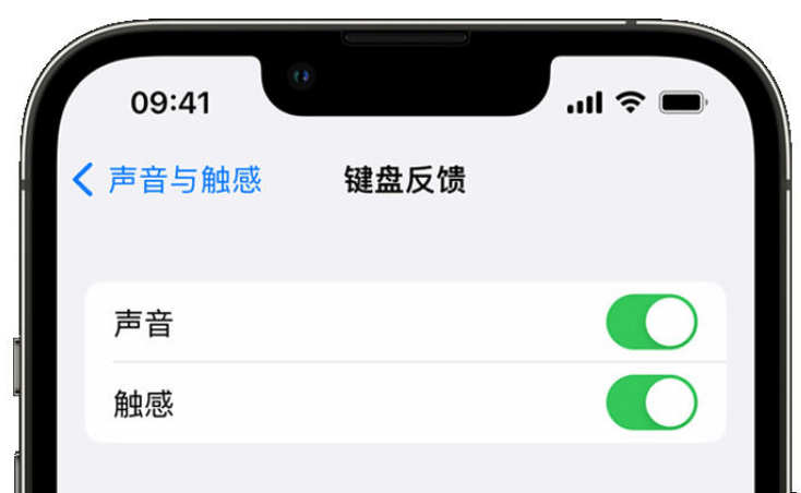 都安苹果手机维修分享iPhone 14触感键盘使用方法 