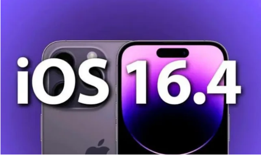 都安苹果14维修分享：iPhone14可以升级iOS16.4beta2吗？ 