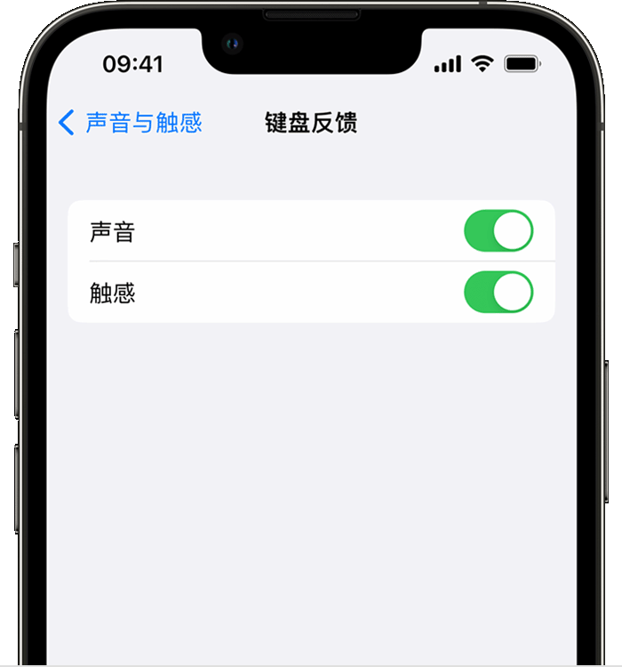 都安苹果14维修店分享如何在 iPhone 14 机型中使用触感键盘 