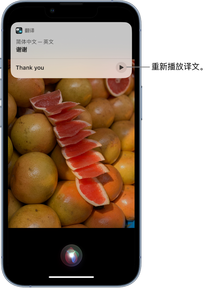 都安苹果14维修分享 iPhone 14 机型中使用 Siri：了解 Siri 能帮你做什么 