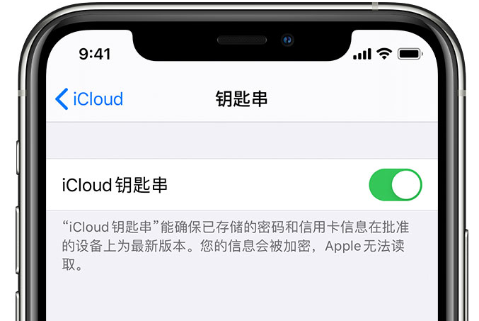 都安苹果手机维修分享在 iPhone 上开启 iCloud 钥匙串之后会储存哪些信息 