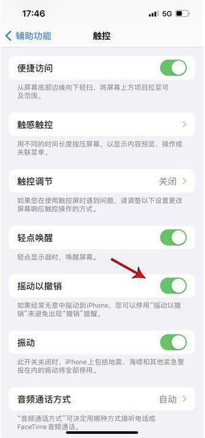 都安苹果手机维修分享iPhone手机如何设置摇一摇删除文字 