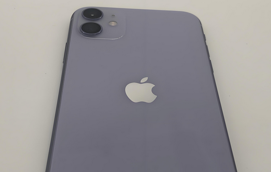 都安苹果11系统维修分享iPhone11手机系统崩溃无法开机如何解决 