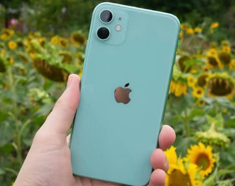 都安苹果维修点分享iPhone 11锁屏密码认知与使用科普 