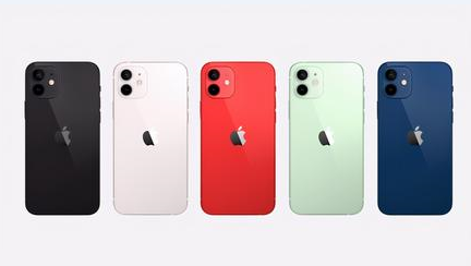 都安苹果维修点分享iPhone 12锁屏密码系统机制科普 