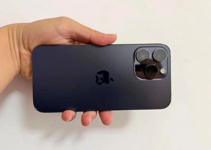 都安苹果维修点分享iPhone 14 Pro Max黑屏少见故障盘点 